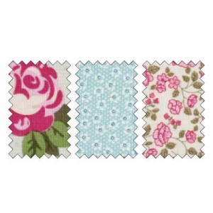 Kimberly Van Diepen stampin up demo