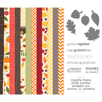Kimberly van Diepen stampin up demo