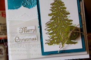 Kimberly van diepen stampin up demo