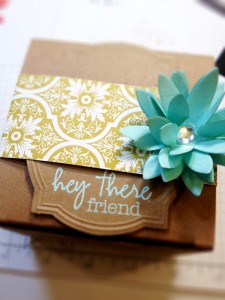 Kimberly VAn Diepen stampin up demonstrator