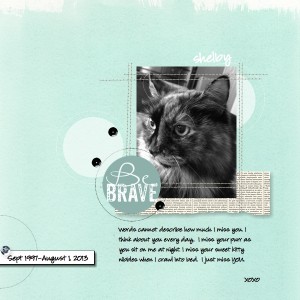 MDS, My Digital Studio