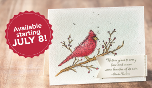 Beauty of the Season stamp set, Stampin' Up!