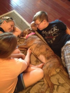 Brin, Plott Hound, Van Diepen