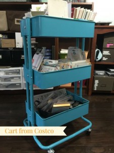 Project Life Organization