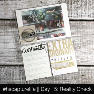 Project Life, Capture Life, PlxSU