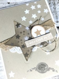 CAS336, Stampin' Up!, Yee Haw stamp set