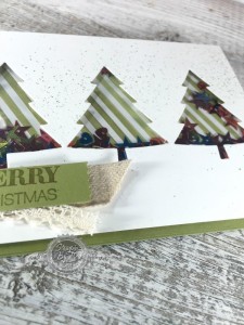Peaceful Pines stamp set, Shaker Card, Stampin' Up!
