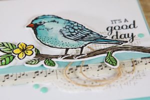 Best Birds, Stampin' Up!