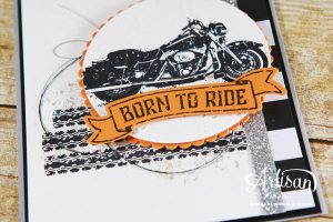 One Wild Ride, Stampin' Up!