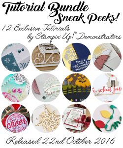 Exclusive Tutorials, Stampin' Up!