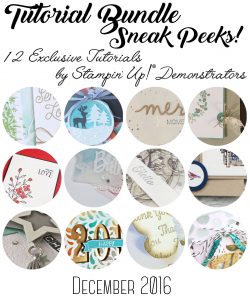 December Exclusive Tutorial, Stampin' Up!