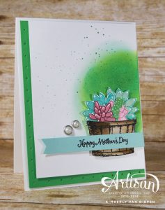 Oh So Succulents, Stampin' Up!