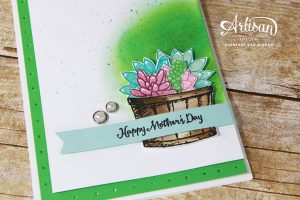 Oh So Succulents, Stampin' Up!