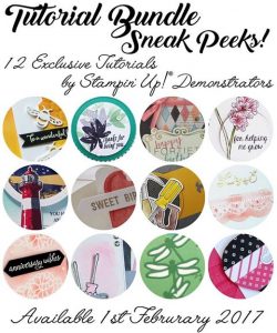 Exclusive Tutorial, Stampin' Up!