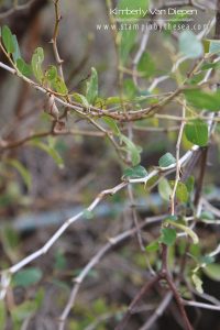 Day 2 of Israel