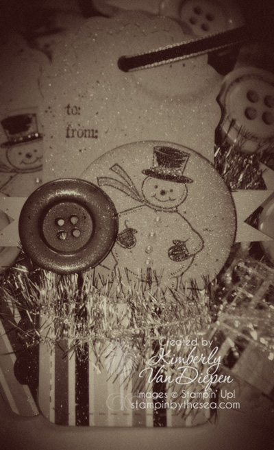 Independent Stampin' Up! Demonstrator Kimberly Van Diepen